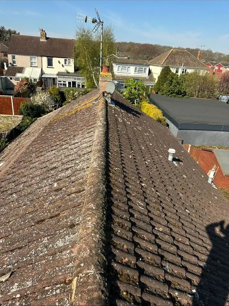 Roofers
