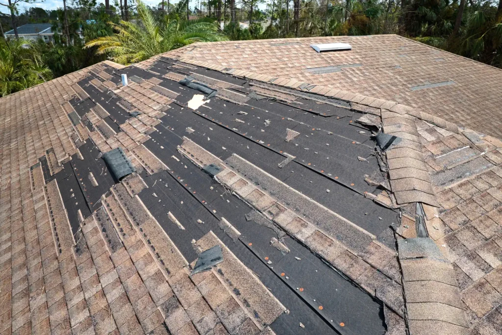 Roofers
